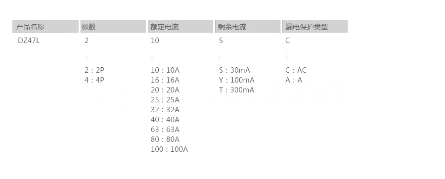 DZ47L微型漏电开关型号说明.png