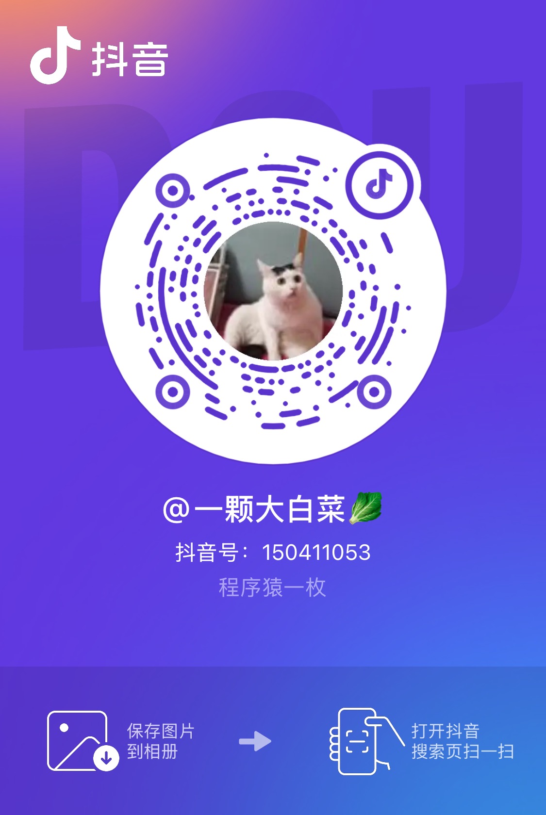8790653849627774976